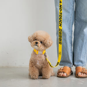 바잇미 만지지마세요 예뻐해주세요 메세지 와펜 강아지 리드줄 솔직 후기 | 실제 사용자 리뷰 총정리 - 상품 이미지 2