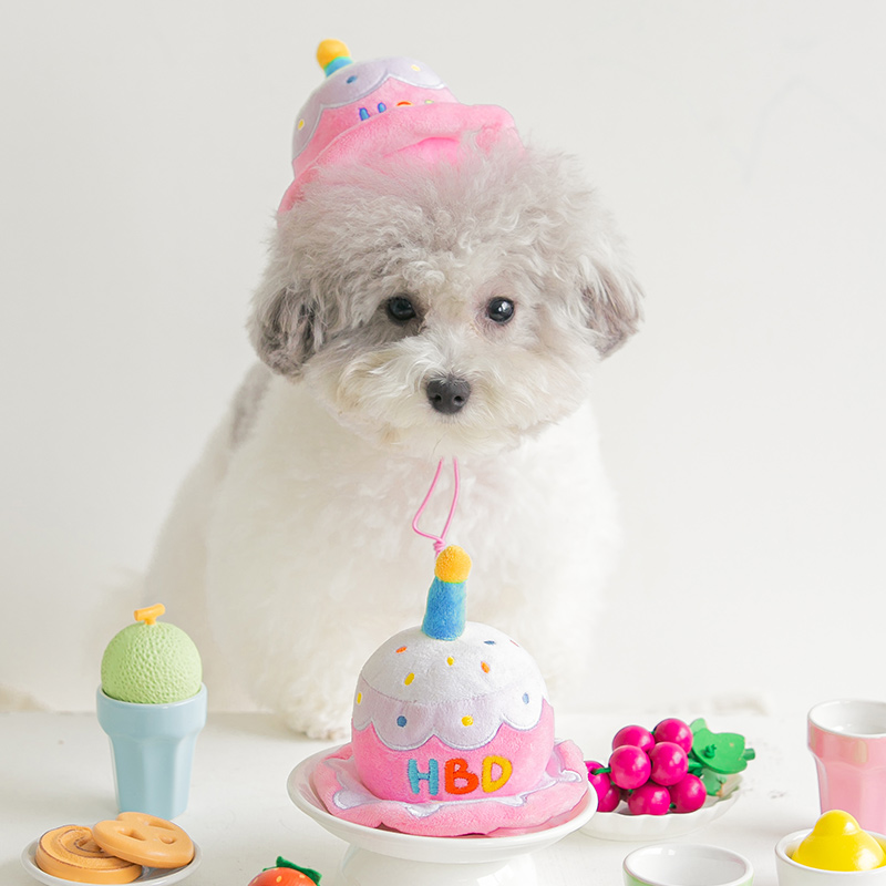 바잇미 강아지 생일모자 장난감 케이크 - 상품 이미지