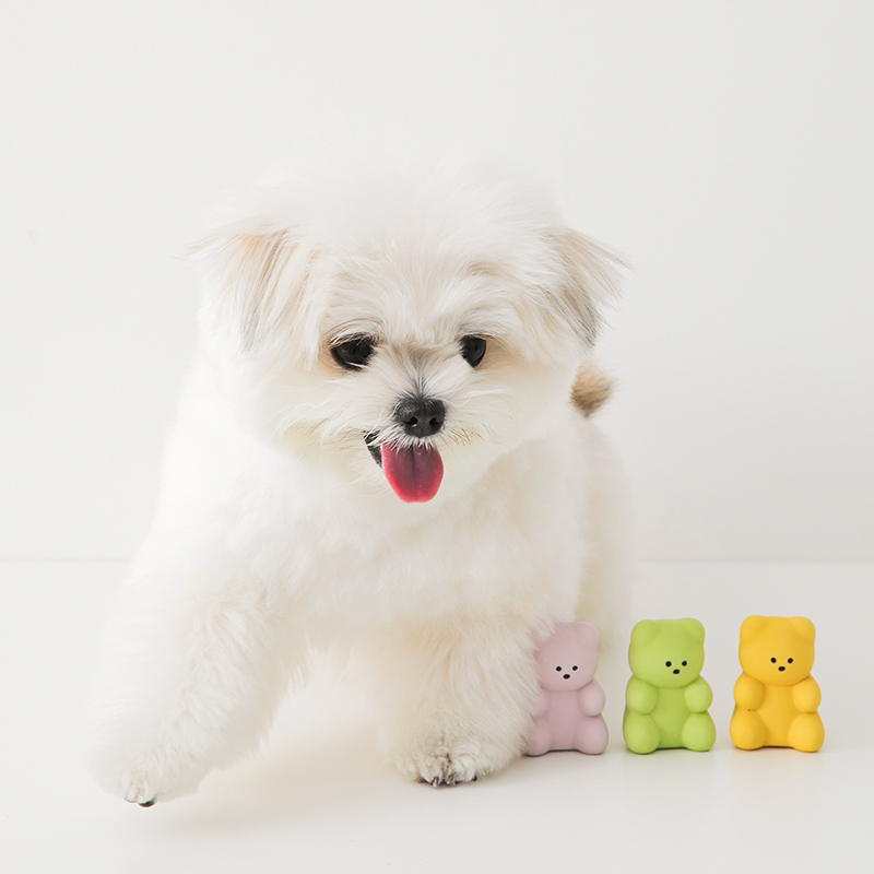 강아지 삑삑이 장난감 라텍스 젤리곰 3개입 반려견 애견 곰돌이 3p 리틀 곰