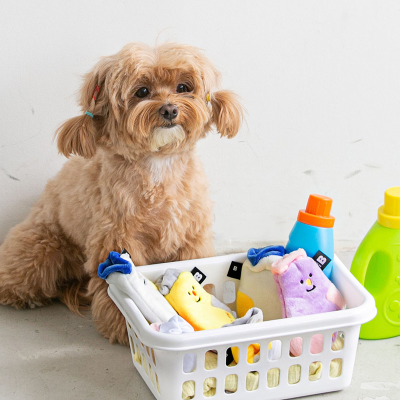 바잇미 강아지 양말 노즈워크 장난감 세트