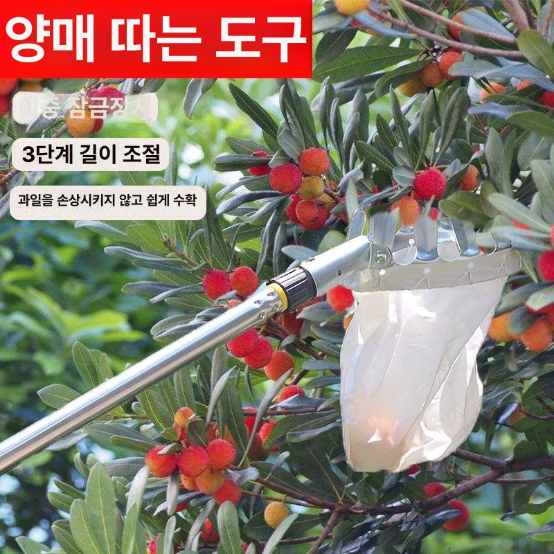 수확기 과수원 막대 따는 장대 감따는기구 기구 열매 황금봉 두꺼운 스테인리스 3m 3종 - 상세 이미지 2