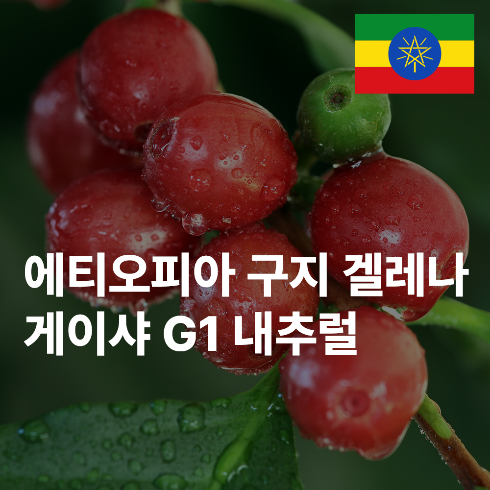 [커피생두] 에티오피아 구지 겔레나 게이샤 G1 내추럴 1kg, 1개