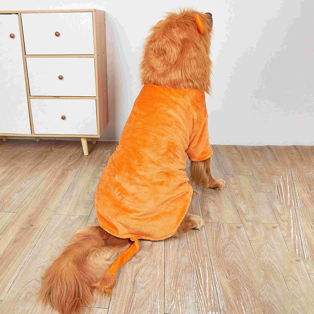 개과천선 라이호 애견 강아지 후드티 사자 모자 옷 고양이 대형견