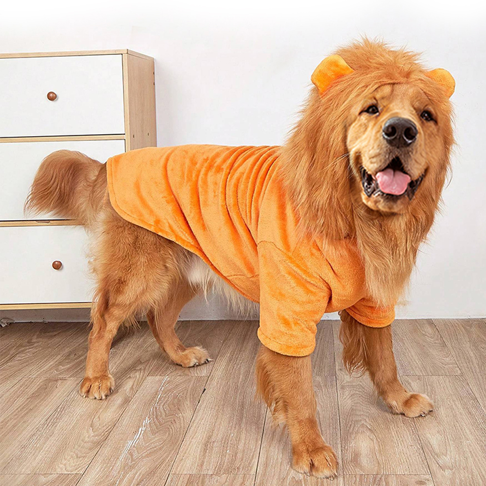 개과천선 라이호 애견 강아지 후드티 사자 모자 옷 고양이 대형견