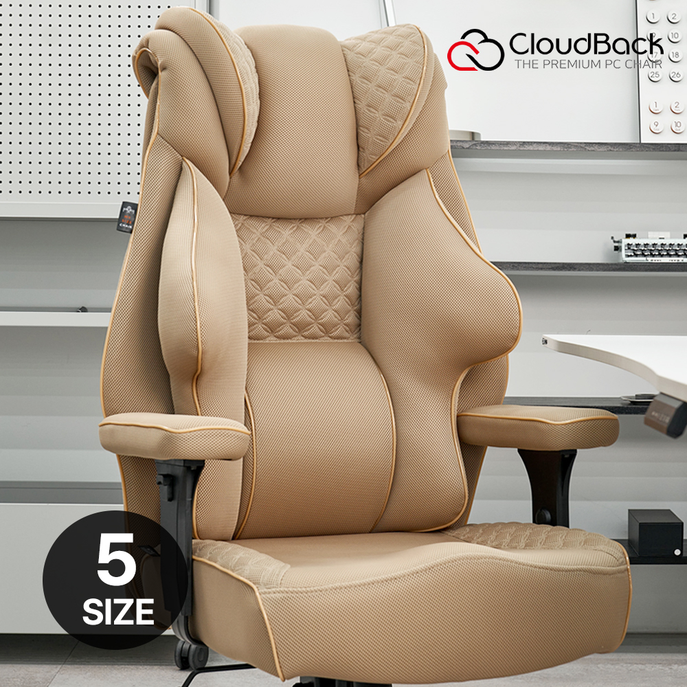 클라우드백 마이사이즈체어 컴퓨터 사무용 사무실 학생 리클라이너 책상 의자 M900MQ 2.0