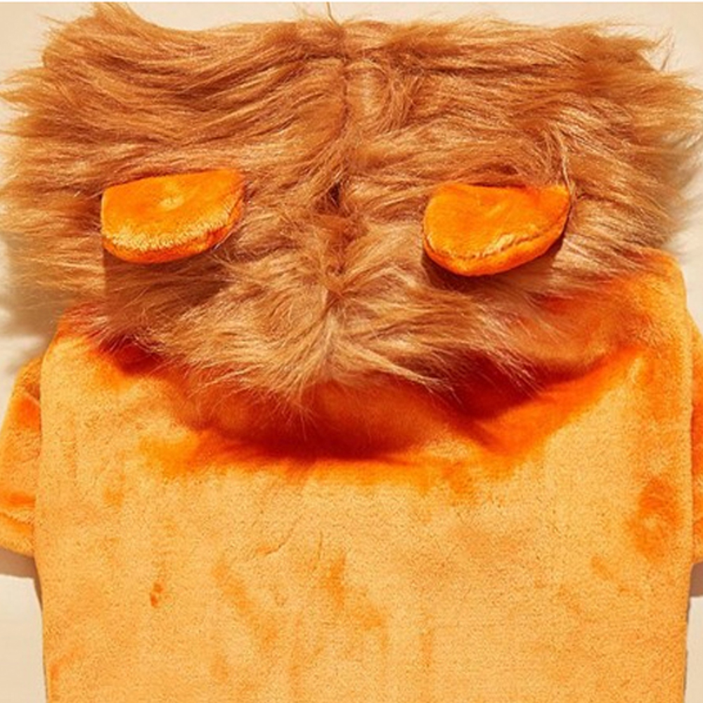 개과천선 라이호 애견 강아지 후드티 사자 모자 옷 고양이 대형견