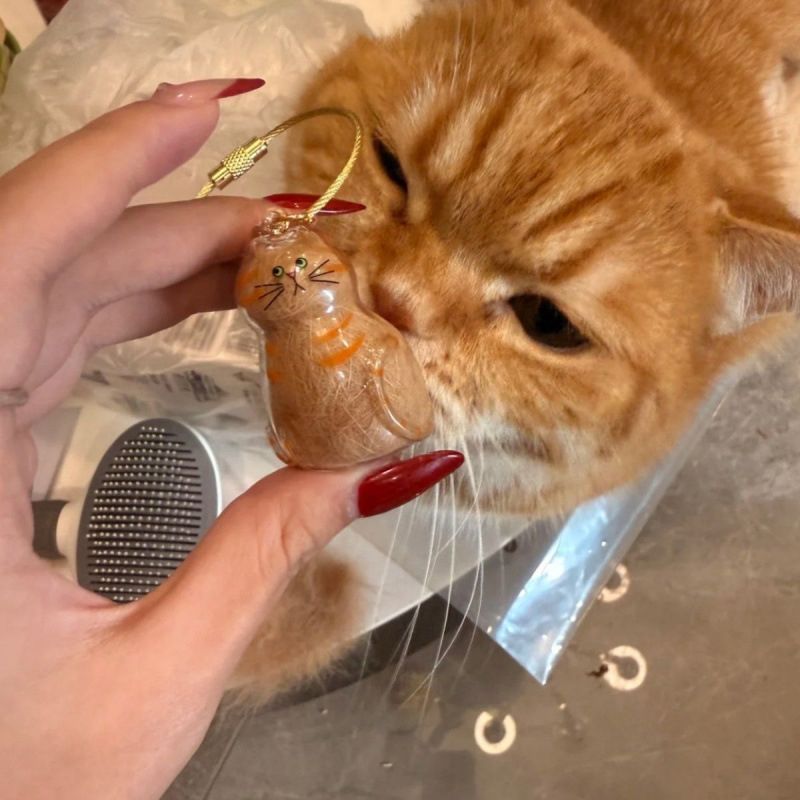고양이 털 보관 키링 반려묘 털뭉치 보관함 캡슐 펫 투명 열쇠고리 키홀더 선물 - 상세 이미지 2
