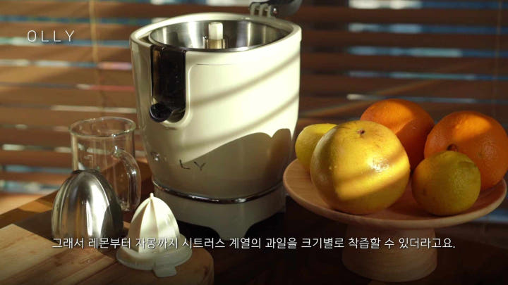 올리 오렌지착즙기