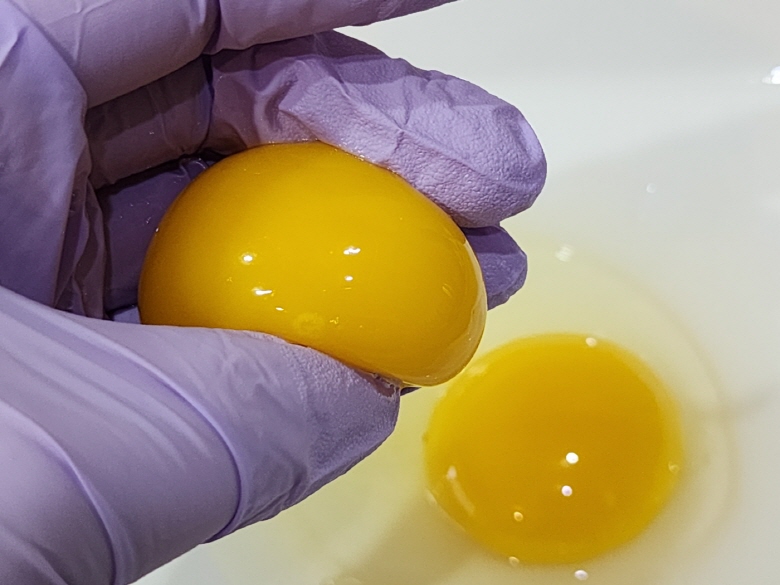 난각번호 1번 자연방사 유정란 홍삼란 알당 52g내외 HACCP 무항생제 무살충제 후기증명 - 상세 이미지 3