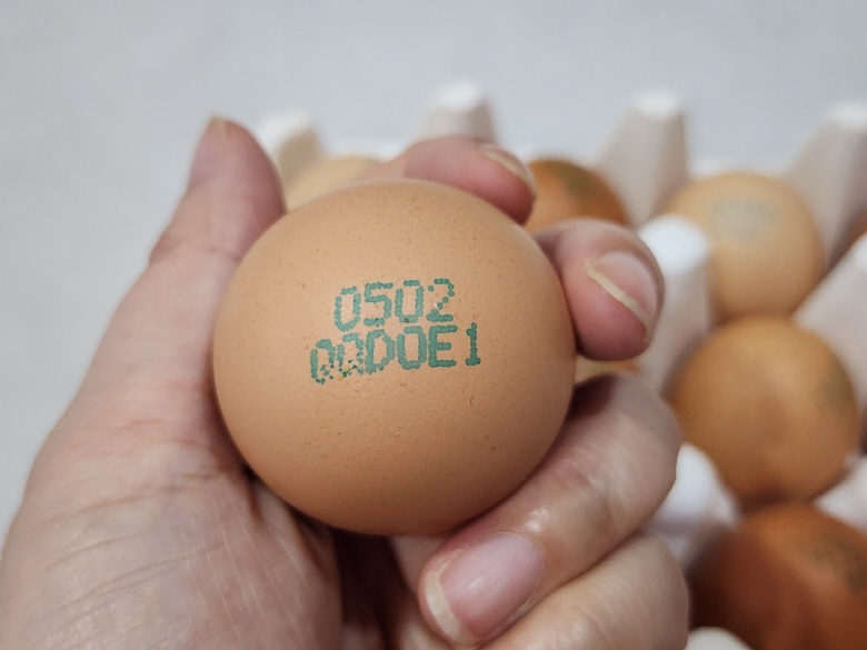 난각번호 1번 자연방사 유정란 홍삼란 알당 52g내외 HACCP 무항생제 무살충제 후기증명 - 상품 이미지