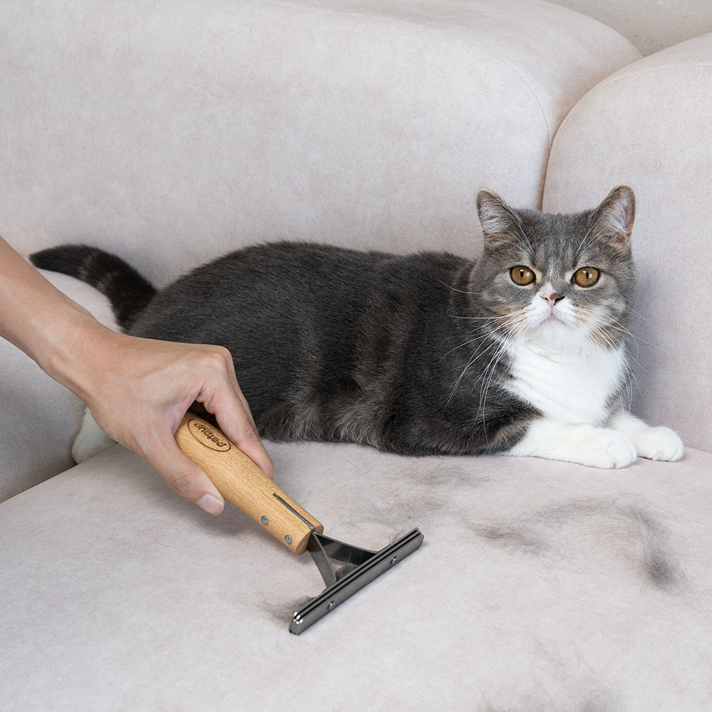 펫펍 쓱싹스크래퍼 고양이털제거기 옷먼지제거기 집 먼지 제거 청소 제품 이미지