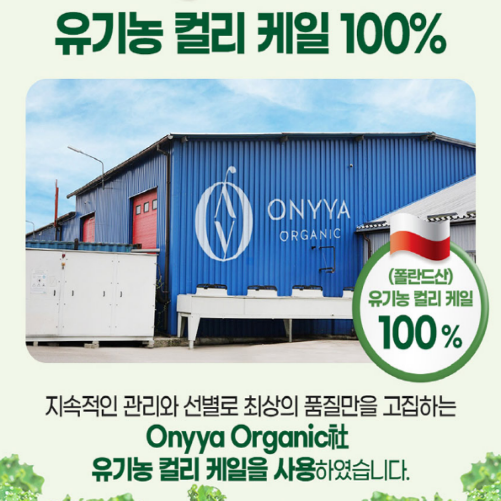 내츄럴플러스 유기농 컬리케일 100% 동결건조 곱슬케일 분말 - 상세 이미지 5