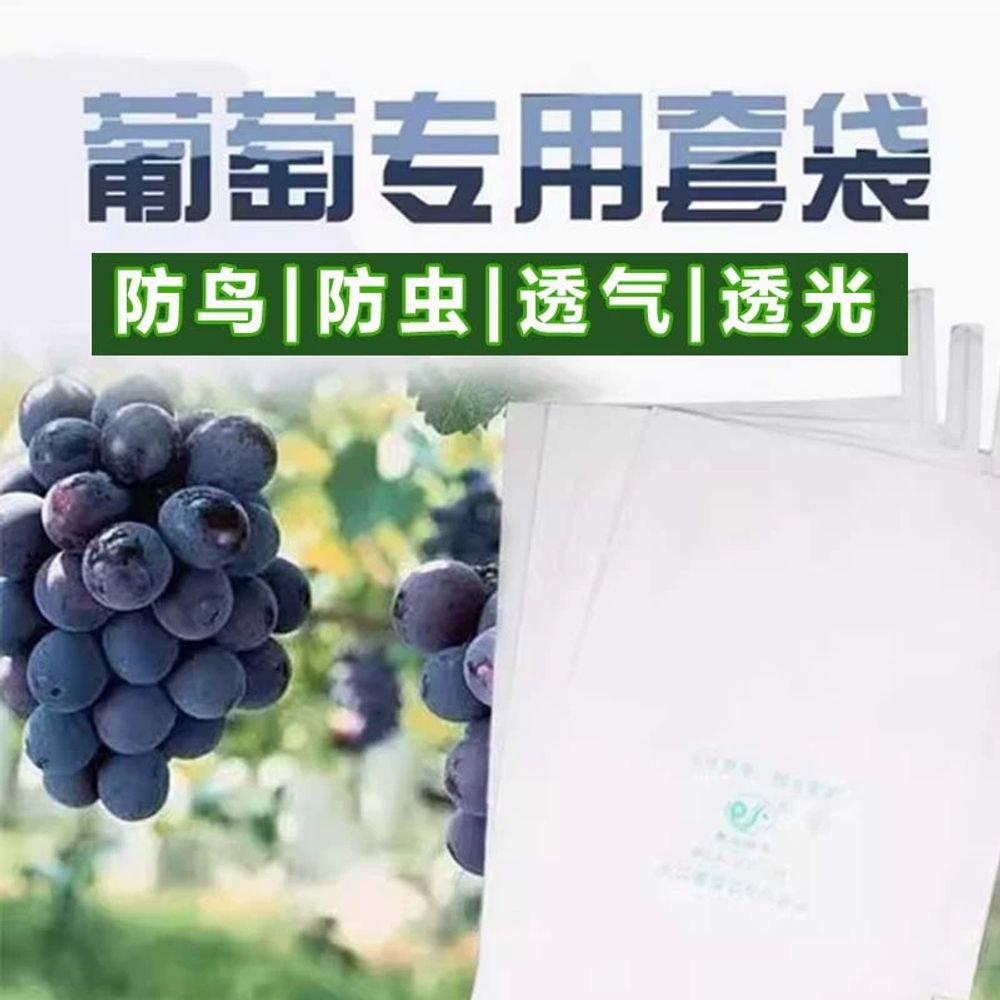 포도 봉지 과수 닻밴드 봉지 포도봉지 원예용 가지유인 - 상세 이미지 3