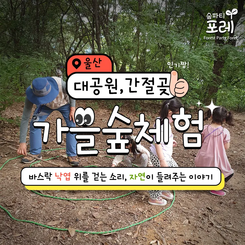 [숲파티포레][울산대공원/간절곶] 울산 어린이 가을 숲체험 유아 초등 자연 주말 체험 학습 - 상품 이미지