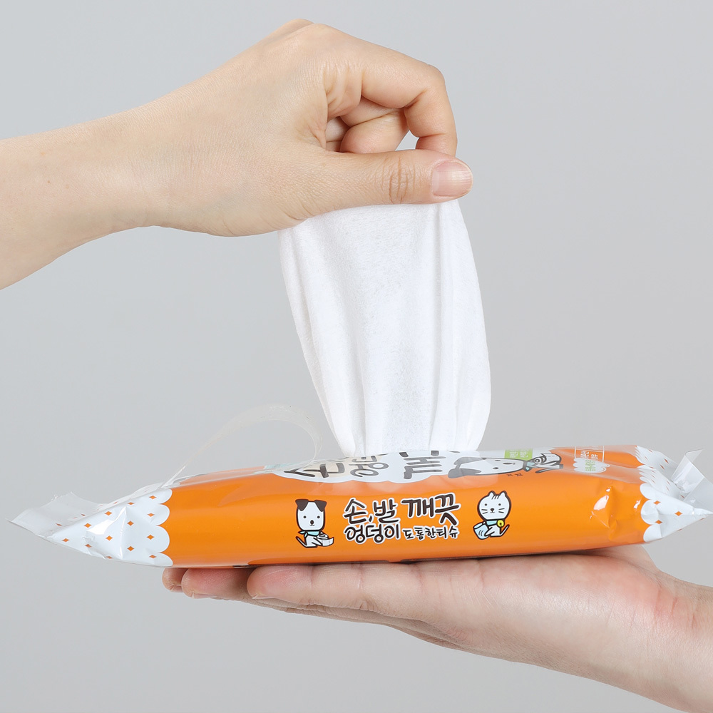 에티펫 강아지물티슈 손발엉덩이 깨끗 도톰한 티슈 40매, 10팩 - 상세 이미지 2