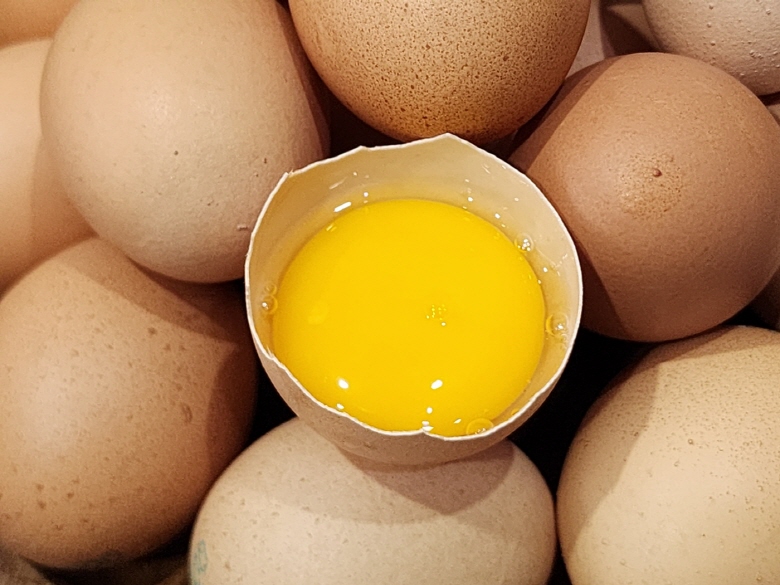 난각번호 1번 자연방사 유정란 홍삼란 알당 52g내외 HACCP 무항생제 무살충제 후기증명 - 상세 이미지 2