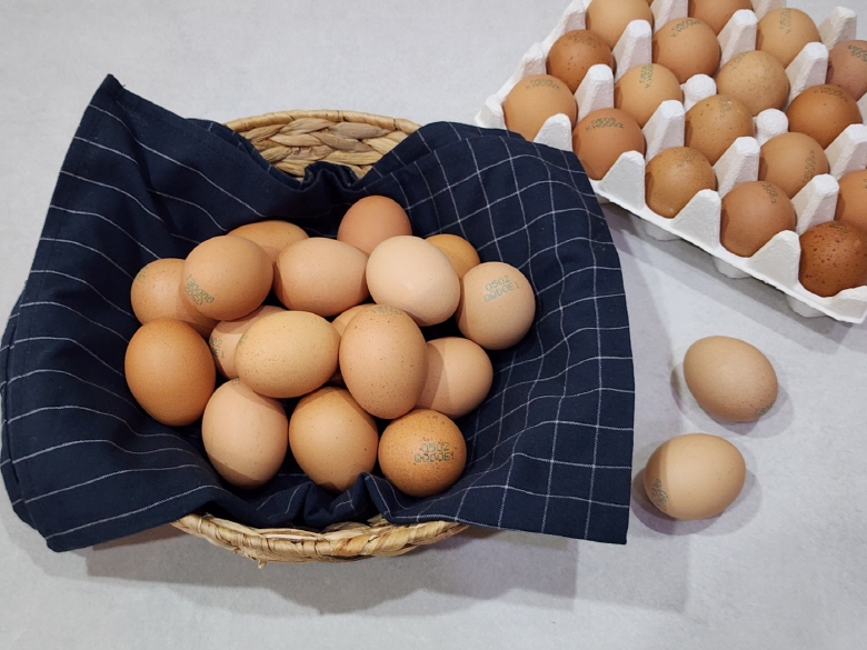 난각번호 1번 자연방사 유정란 홍삼란 알당 52g내외 HACCP 무항생제 무살충제 후기증명 이미지 7
