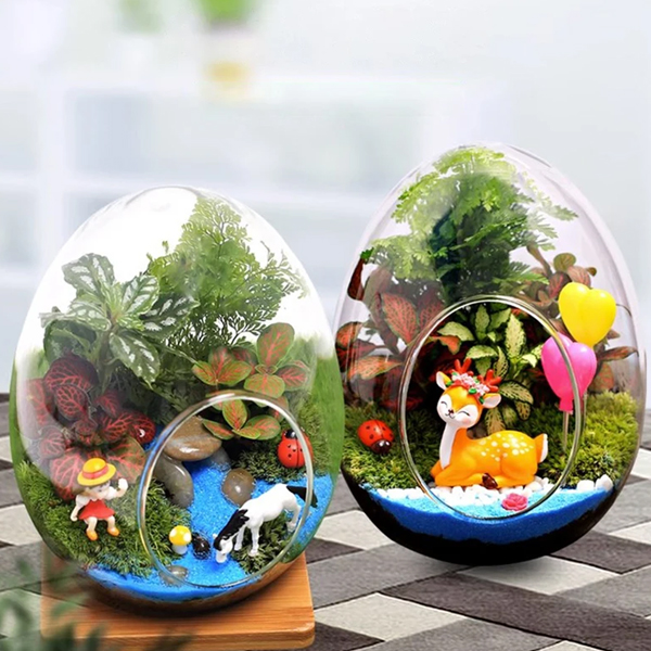 달걀형유리병 이끼만들기 재료 케이스 수경재배 미니분재 DIY 테라리움 용기 유리볼