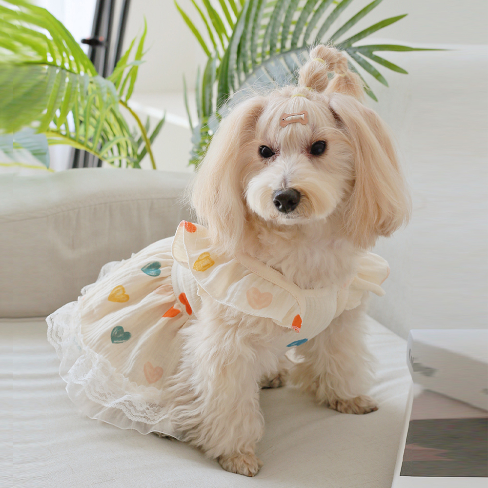 개과천선 큐피트 애견 강아지 원피스 면사 옷 올인원 고양이 - 상품 이미지