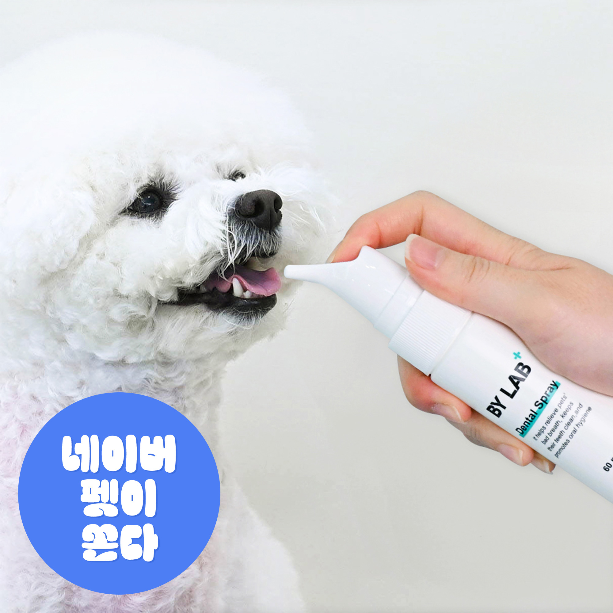 바이랩 덴탈 스프레이 강아지 구강 입냄새 치석 제거 뿌리는 치약 치아관리 60ml, 1개