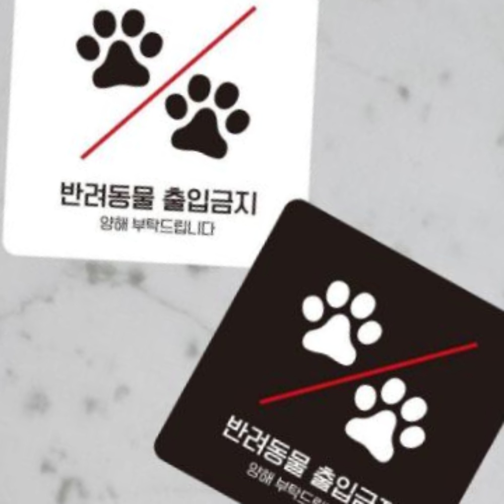 에비뉴7 충청 애견카페