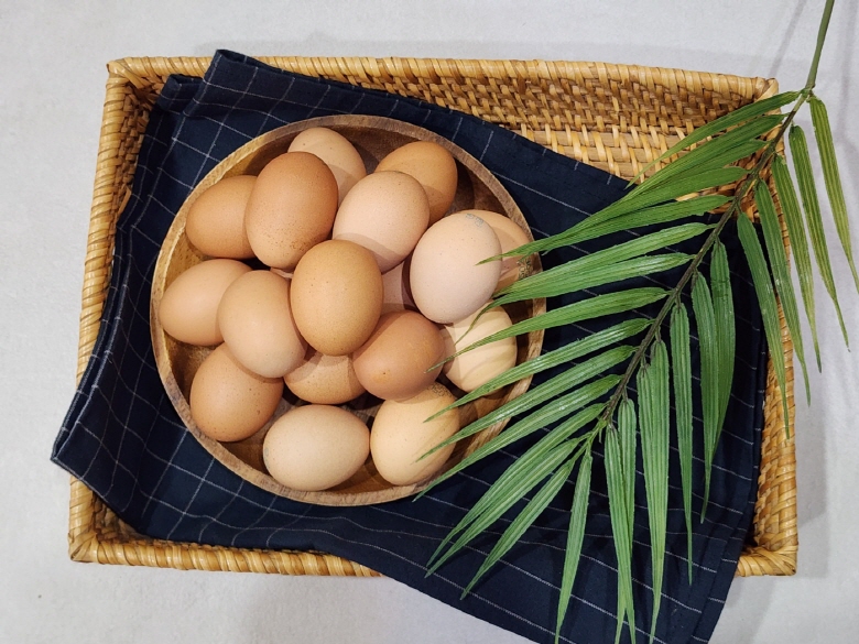 난각번호 1번 자연방사 유정란 홍삼란 알당 52g내외 HACCP 무항생제 무살충제 후기증명 이미지 6
