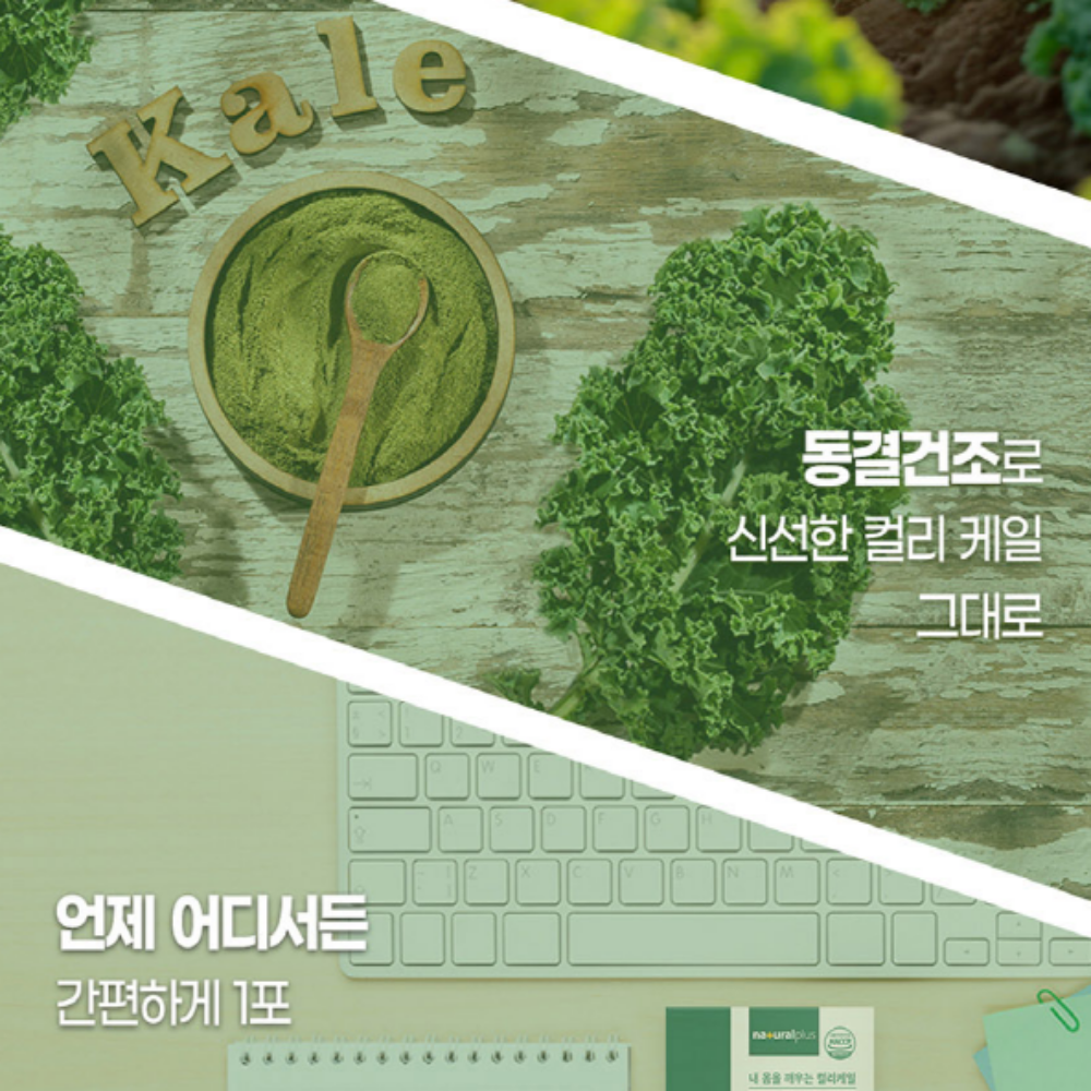 내츄럴플러스 유기농 컬리케일 100% 동결건조 곱슬케일 분말 - 상세 이미지 4