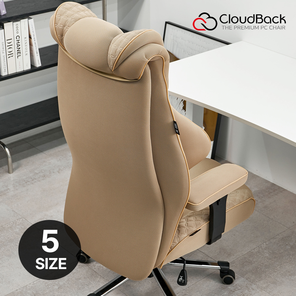 클라우드백 마이사이즈체어 컴퓨터 사무용 사무실 학생 리클라이너 책상 의자 M900MQ 2.0