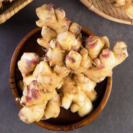 로지프로 충남 서산생강 10kg 황토밭생강 햇생강