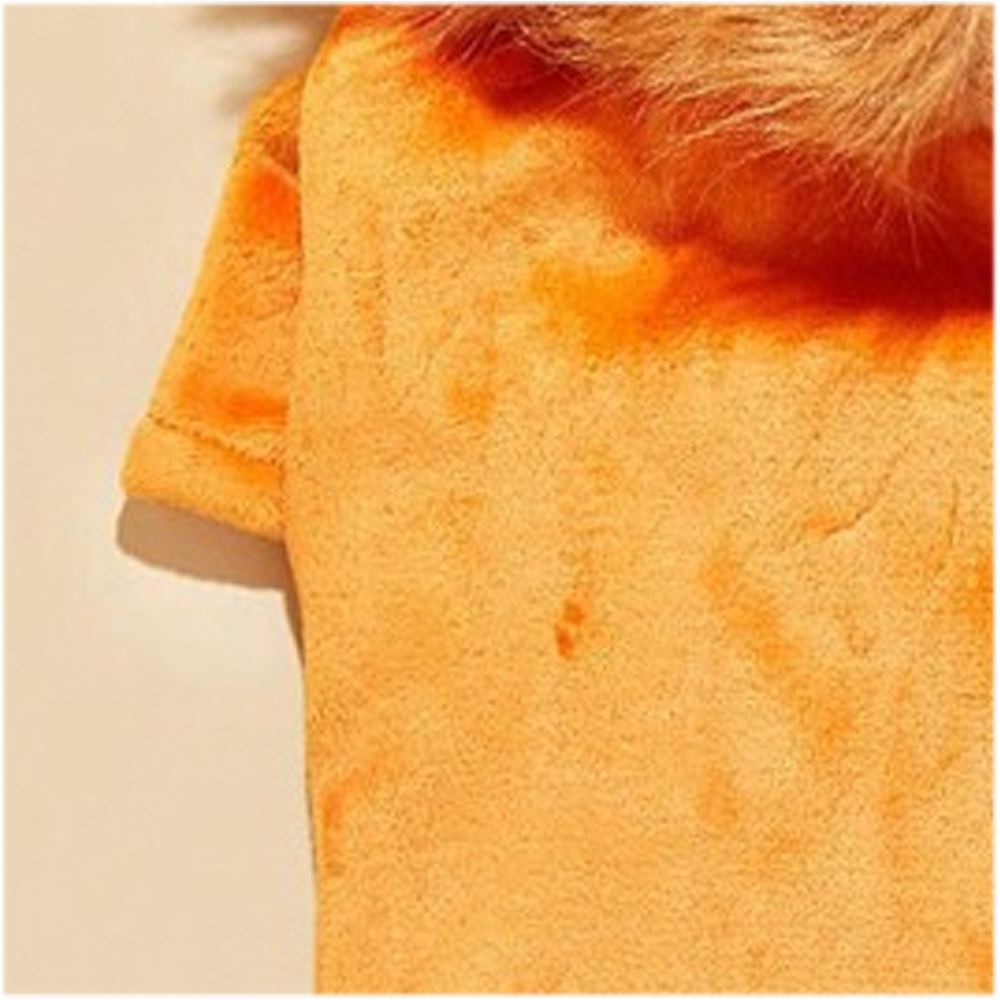 개과천선 라이호 애견 강아지 후드티 사자 모자 옷 고양이 대형견