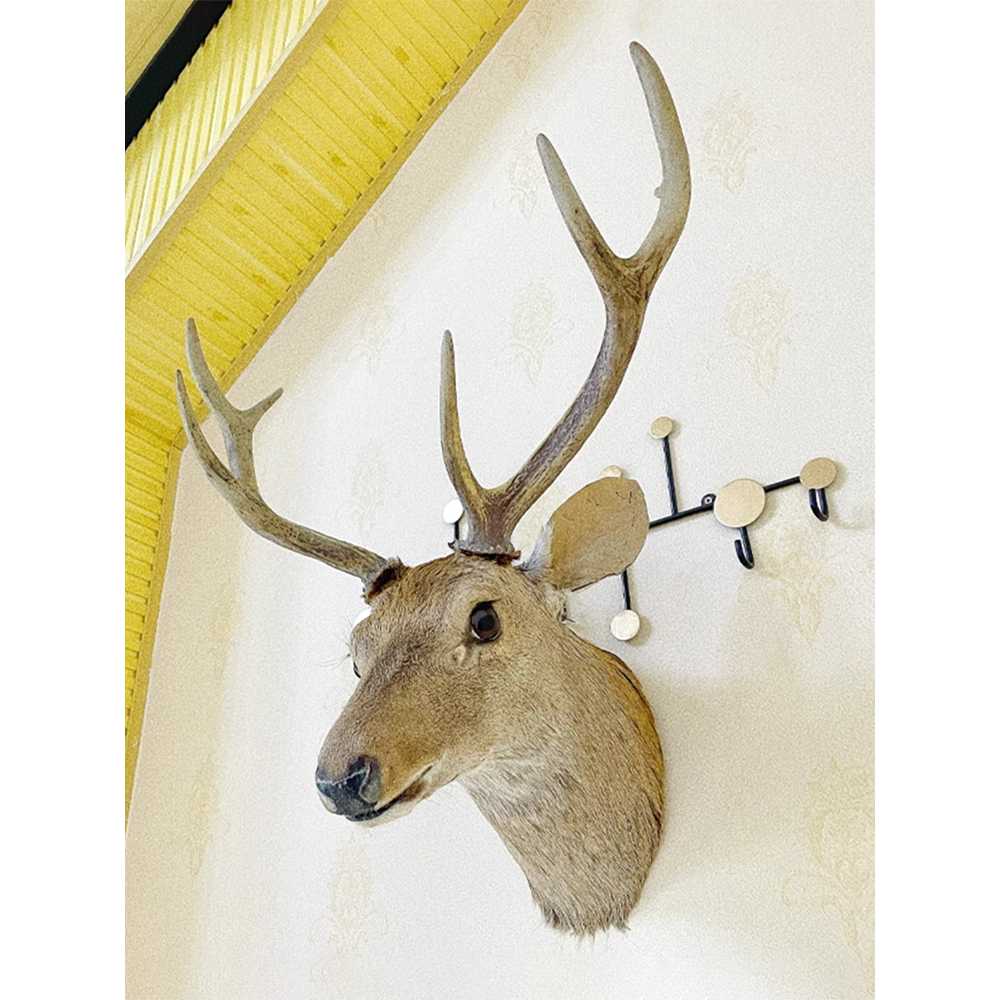 인조 사슴 헌팅트로피 벽장식 모형 유럽 감성 디자인 A형 56cm - 상세 이미지 3