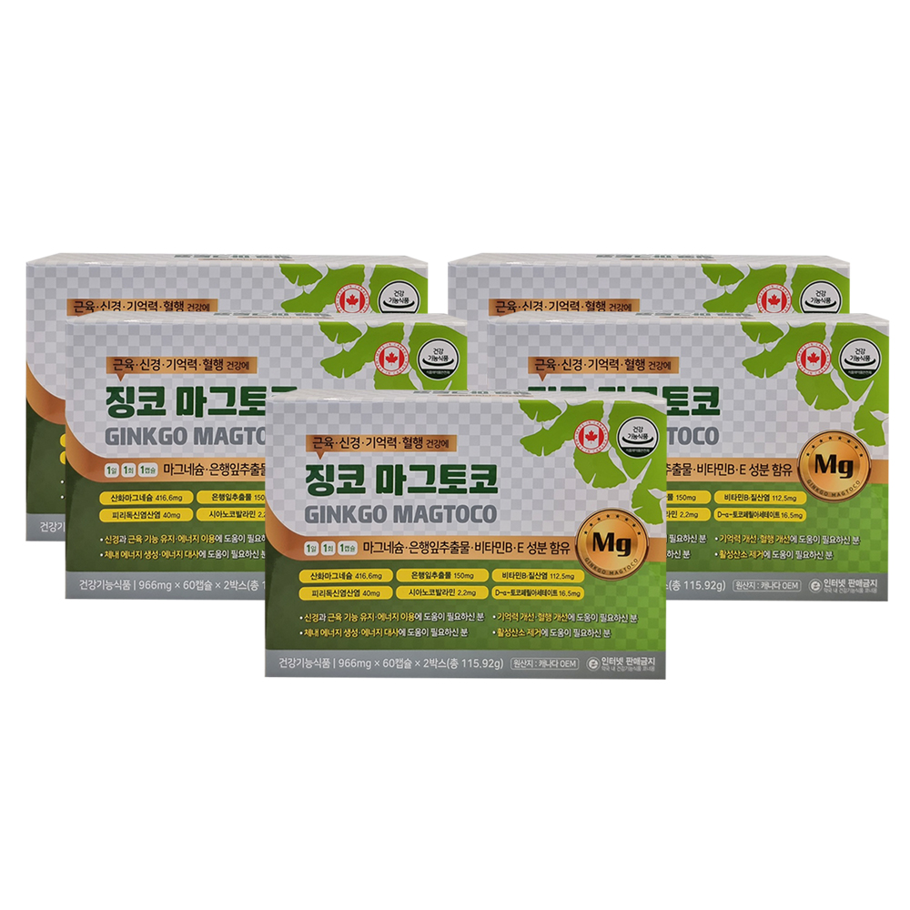 징코 마그토코 120캡슐 X5개 마그네슘 은행잎추출물 비타민B 활성산소 혈행개선 - 상품 이미지