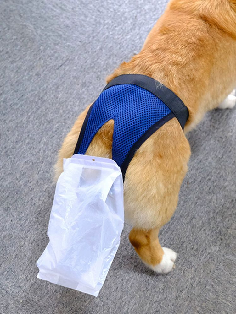수거봉투 외출 애견 배변 주머니 대변 소형견 S호 참고 2.5-7.5kg 38cm - 상품 이미지