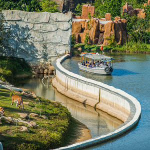 다낭 체크아웃 투어 바나힐 빈원더스 호이안 바구니배 영흥사 롯데마트 쇼핑... 솔직 후기 | 실사용자 리뷰 분석 - 상품 이미지 4