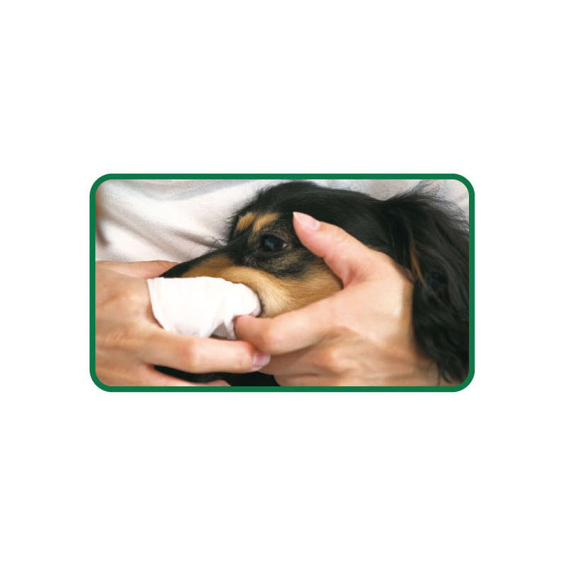 일본 고양이 라이온 PETKISS 펫키스 치약시트 30매