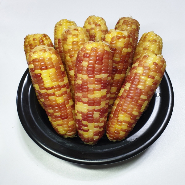 삶은 냉동 홍찰옥수수 특대사이즈 10개입 15개입 20개입 18cm 내외