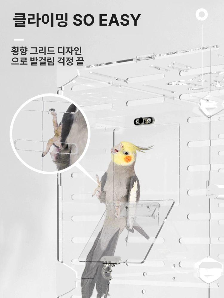 투명 새 케이지 앵무장 둥지 조류 키우기 앵무 아크릴 쟁반 새장 소형 화이트 포함 - 상세 이미지 3