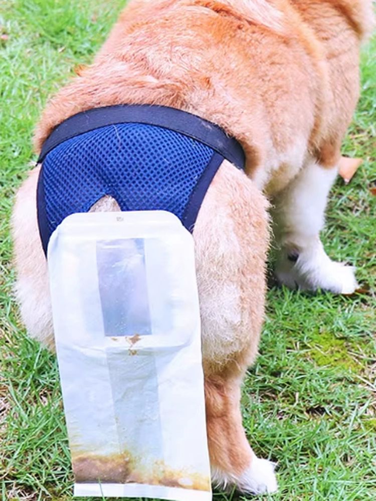 수거봉투 외출 애견 배변 주머니 대변 소형견 S호 참고 2.5-7.5kg 38cm - 상세 이미지 2