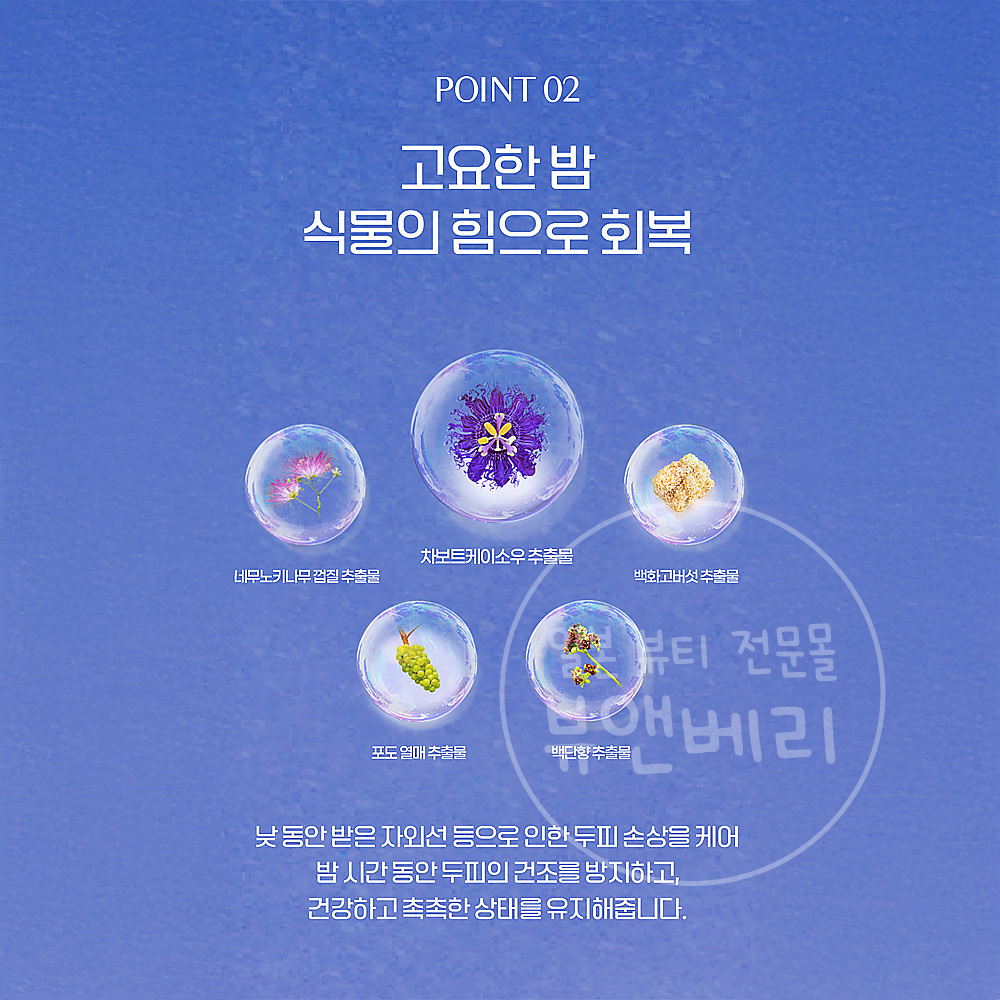 요루샴푸 YOLU 일본 손상모 리페어 샴푸 딥나이트본품, 400ml, 1개 - 상세 이미지 4