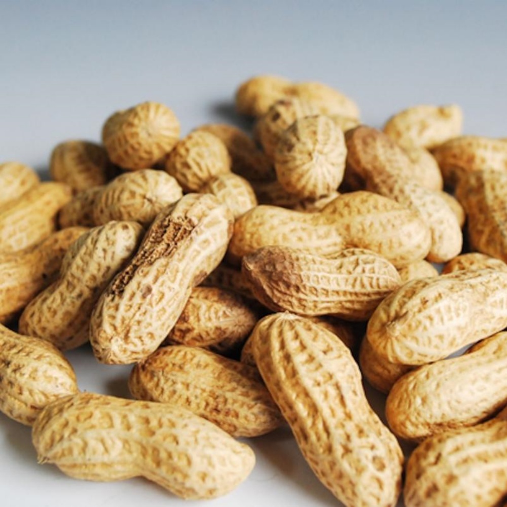 껍질째먹는땅콩 국내산 여주땅콩 제철 국산생땅콩 햇땅콩 피땅콩 1kg, 1개 - 상품 이미지
