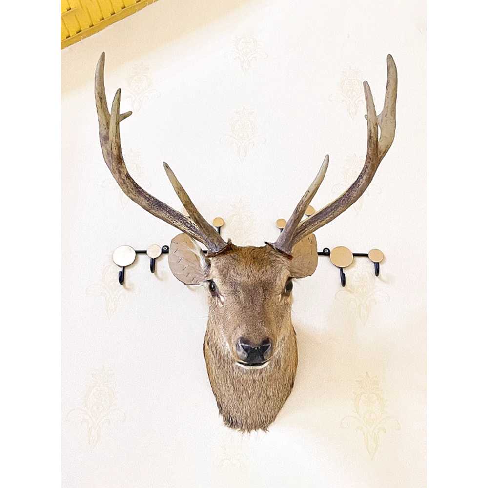 인조 사슴 헌팅트로피 벽장식 모형 유럽 감성 디자인 A형 56cm - 상세 이미지 4