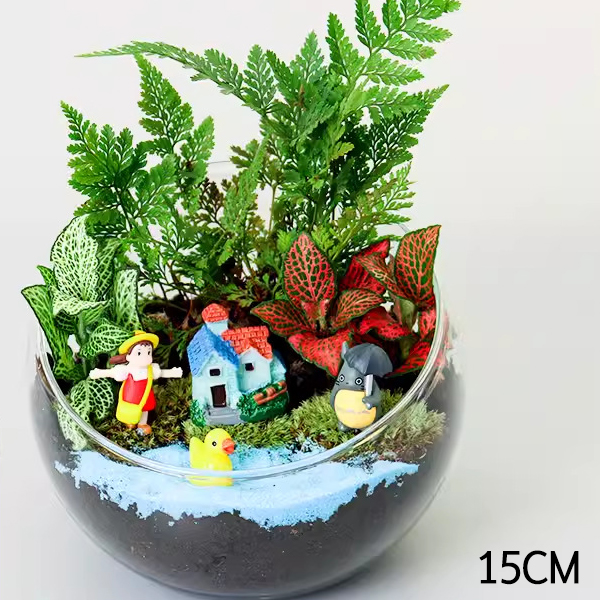 용기 단지 사선 유리 이끼 테라리움 만들기 DIY 사선꽃병 유리수반 소중대 - 상세 이미지 4