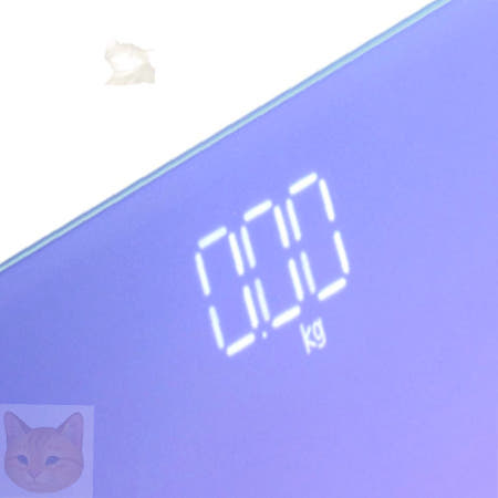 디지털 체중계 퍼플 몸무게측정기 체중측정계