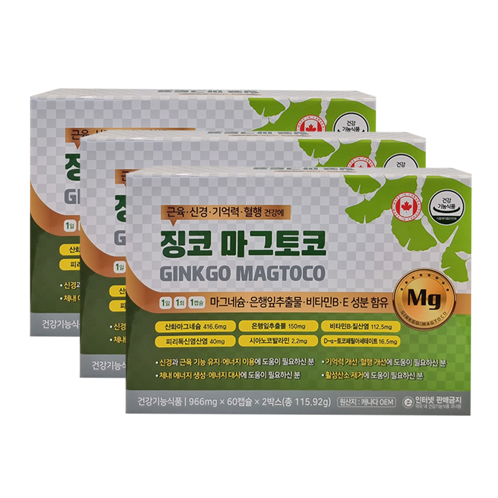 징코 마그토코 120캡슐 X3개 마그네슘 은행잎추출물 비타민B 활성산소 혈행개선 - 상품 이미지