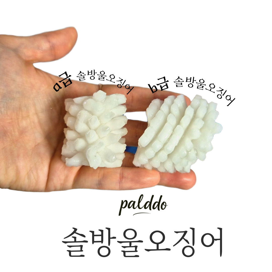 솔방울오징어 10kg/손질 칼집오징어/대용량B급/A급