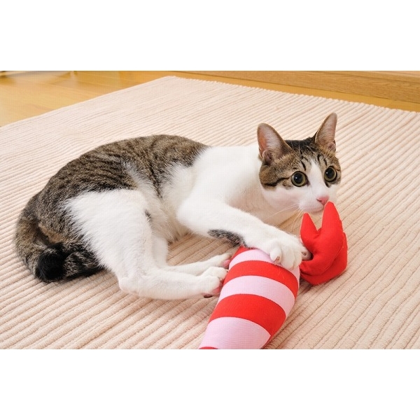 일본 페티오 고양이 장난감 새우 인형 - 상세 이미지 3