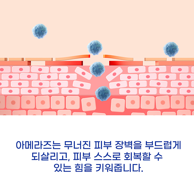 병풀크림 피부 진정 트러블 장벽 시카 크림 아메라즈 세럼 - 상세 이미지 2