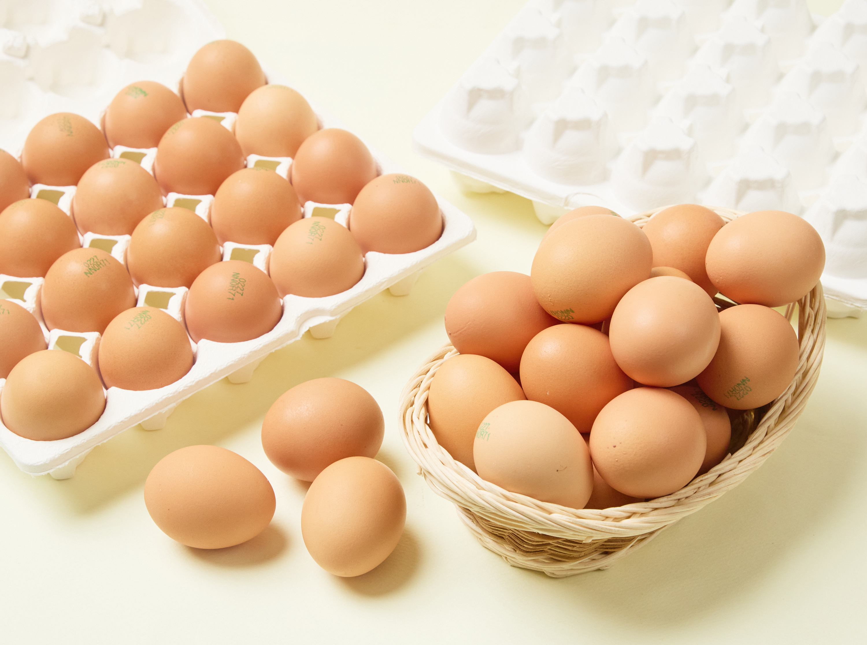 난각번호1번 유정란 무항생제 계란 20구