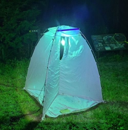 등화채집 장수풍뎅이 사슴벌레 포충망 세트 야외 나비 - 상세 이미지 2