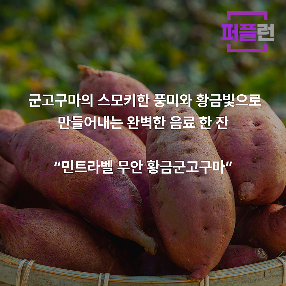 민트라벨 무안 황금군고구마 파우더 800g x 2ea - 상세 이미지 5